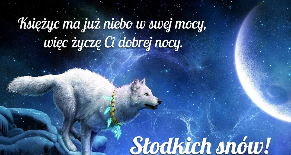 Biały wilk słodkich snów